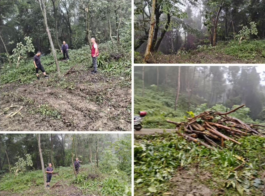 企业微信截图_20251121154148 企业微信截图_20251121154148